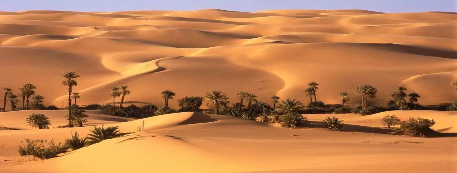 Explore Bahariya Oasis: Egypt's Hidden Western Desert Gem, image size:1500x570